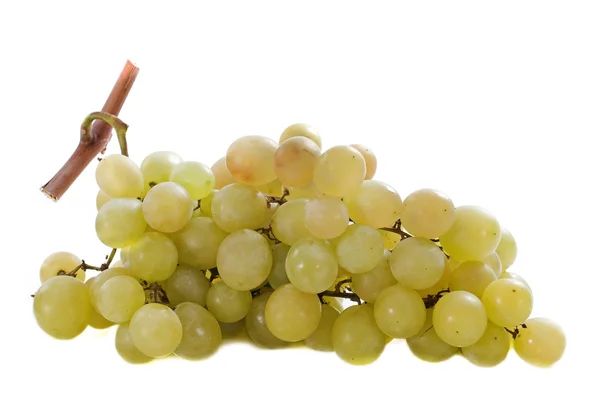 Italia uvas — Foto de Stock