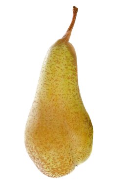 Conference pear