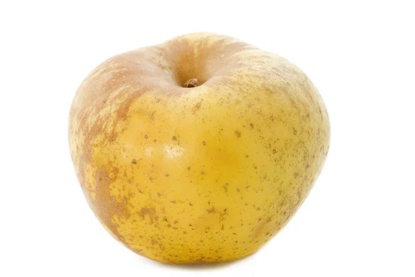 Golden russet apple — Stock Photo, Image