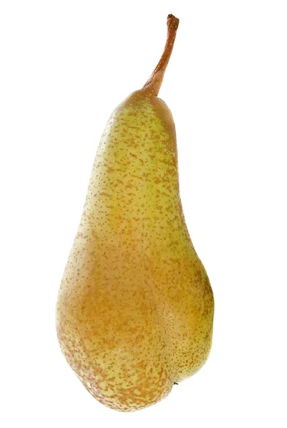 Conference pear — Stock Photo, Image