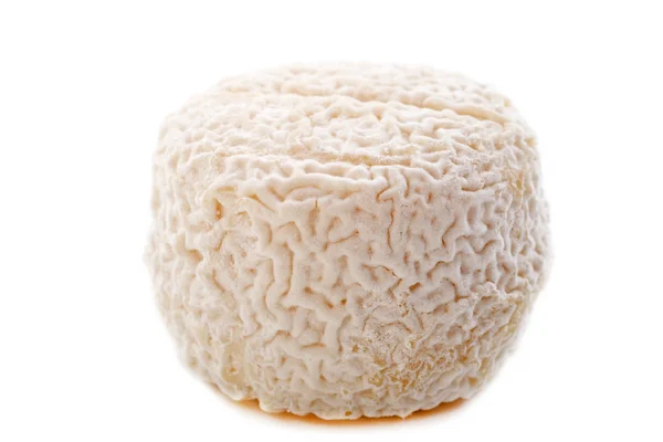 Козячий сир Crottin de chavignol — стокове фото