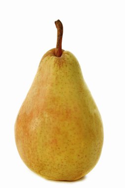 Guyot pear clipart