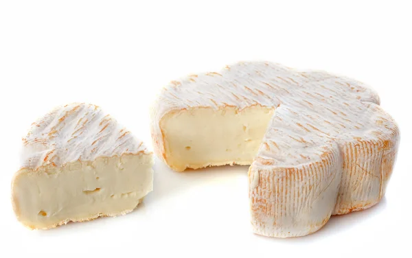 Fransk ost — Stockfoto