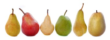 Varieties of pears clipart