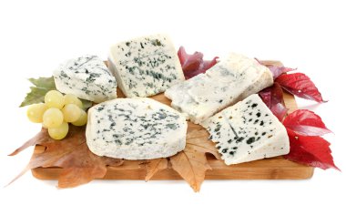 Blue cheeses clipart