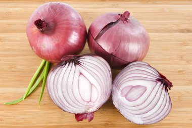 Red onion clipart