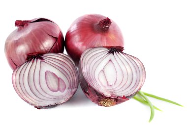 Red onion clipart