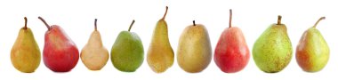 Varieties of pears clipart