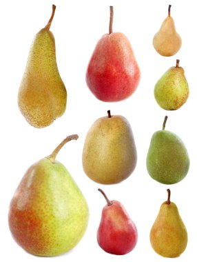 Varieties of pears clipart