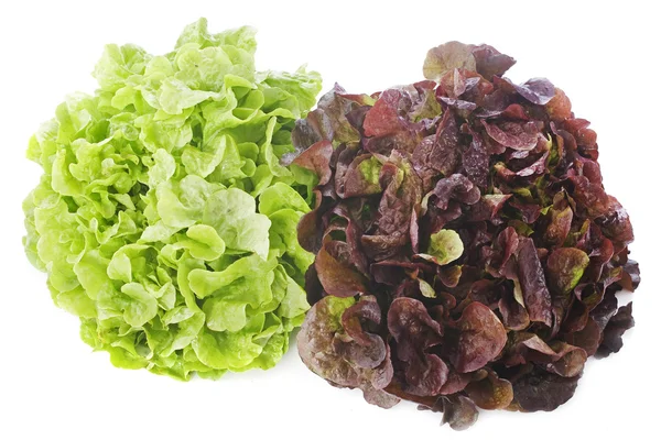 Piros és zöld saláták — Stock Fotó