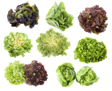 Varieties of salads clipart
