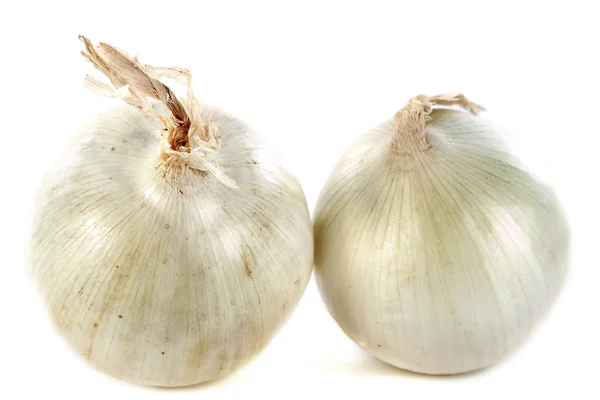 stock image White onions