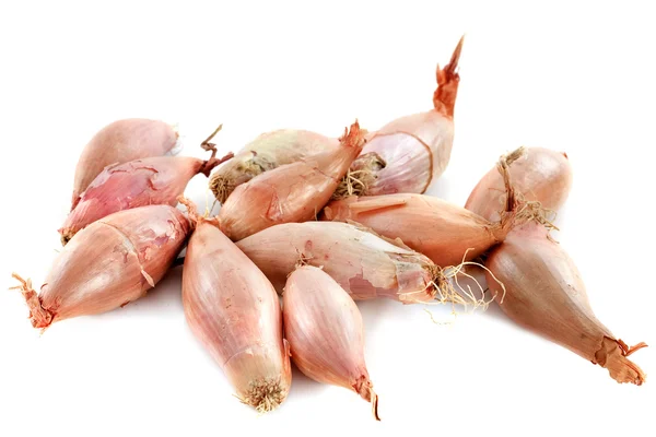 Best Echalion Shallots Royalty-Free Images, Stock Photos & Pictures