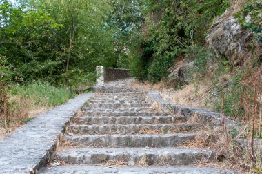 Vaison la marul 1