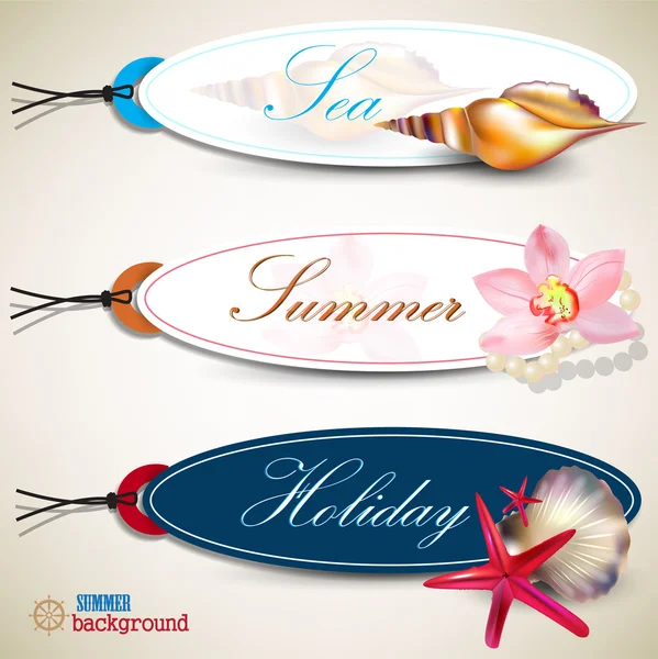 Set of Holiday Badges, Labels, Tags with shells and place for t — Stock Vector