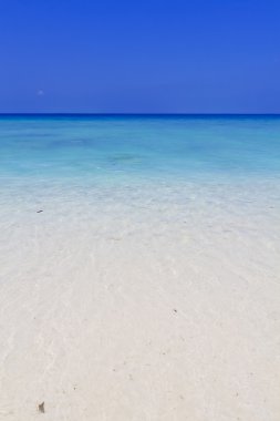 tropikal Maldivler plaj saf okyanus su