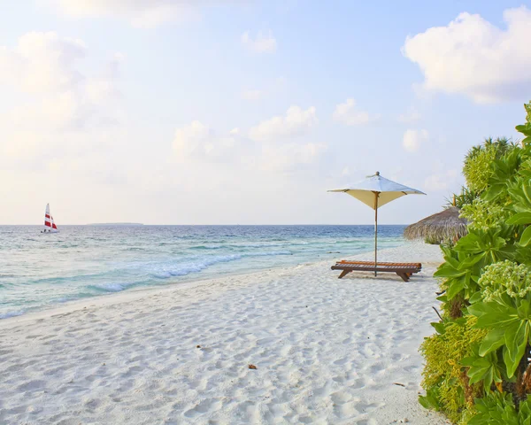 Тропический пляж Мальдив — стоковое фото