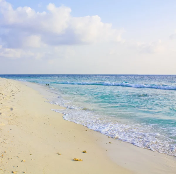 Тропічний пляж мальдів — стокове фото