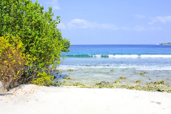 Tropical beach, Maldív-szigetek — Stock Fotó