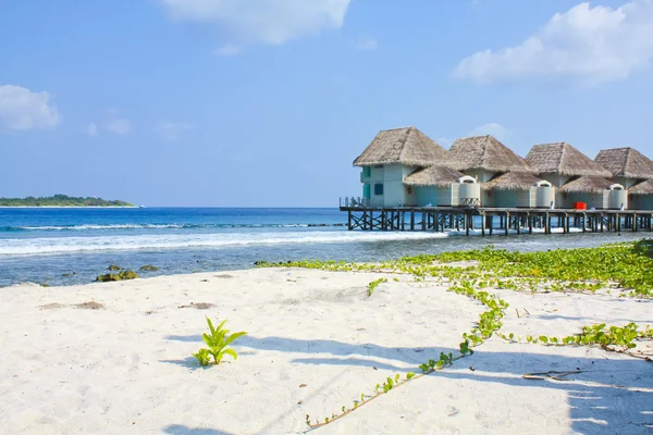 Tropické pláže a vodní bungalov na Maledivy — Stock fotografie