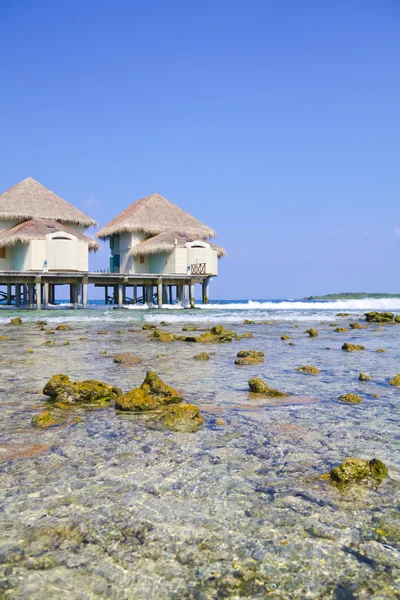 Tropické pláže vodní bungalov — Stock fotografie