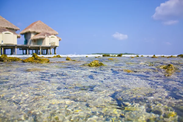 インド洋の純粋な水 — ストック写真