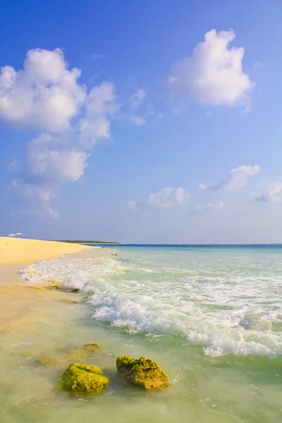 Playa tropical de Maldivas — Foto de Stock