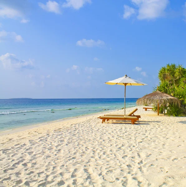 Τροπική παραλία των Μαλδίβων — Φωτογραφία Αρχείου