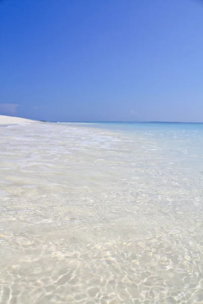Tropischer Strand der Malediven — Stockfoto
