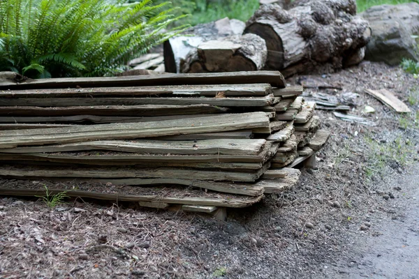 Oude planken in het bos — Stockfoto