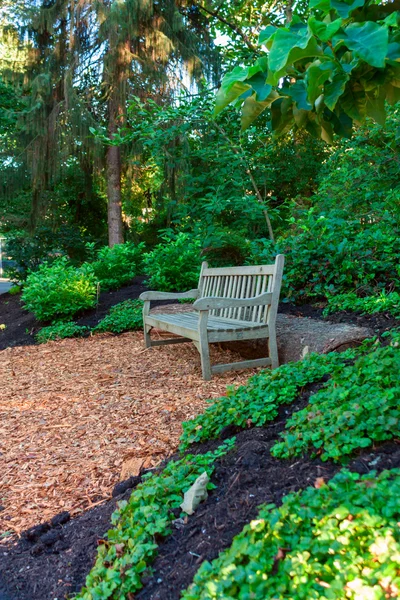 stock image Empty wooden bench in the park.