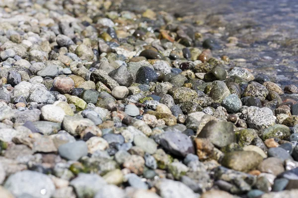 stock image Pebble on a beach