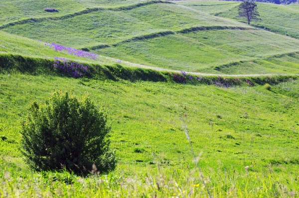 stock image Picture of Ukrainian countryside during the daytime.