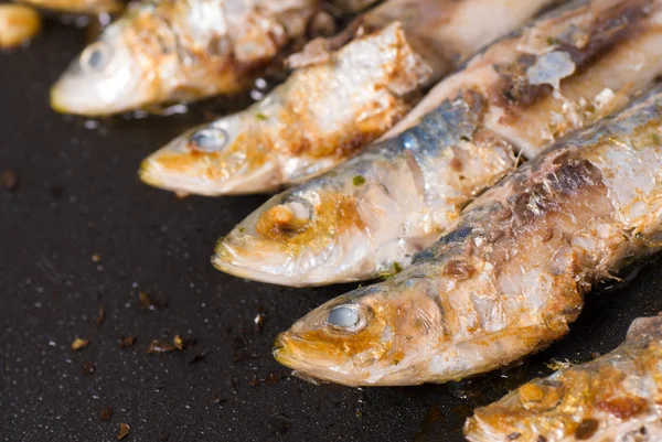 Sardines on the griddle — Stock Photo, Image