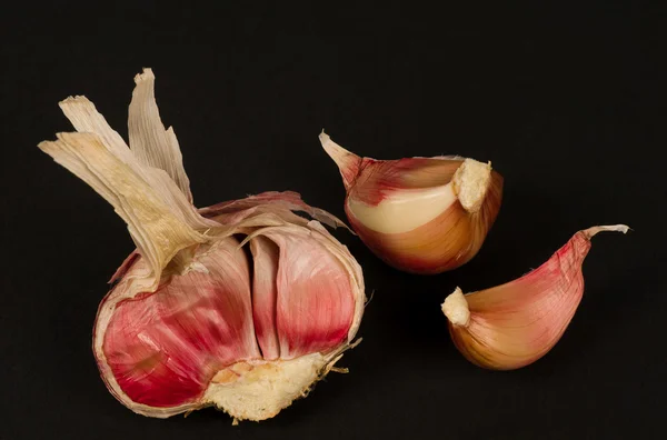 Луковица чеснока и гвоздика — стоковое фото