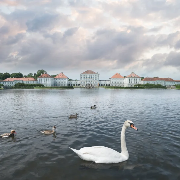 ロマンチックな湖を白鳥します。 — ストック写真