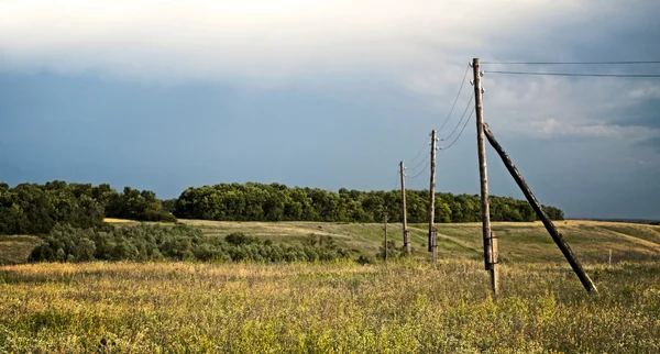 Старые столбы в поле — стоковое фото