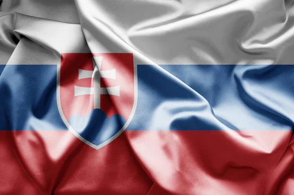 Slowaakse vlag — Stockfoto