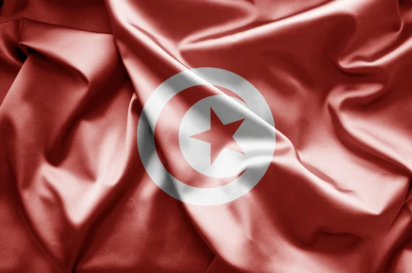 Bandiera della Tunisia — Foto Stock