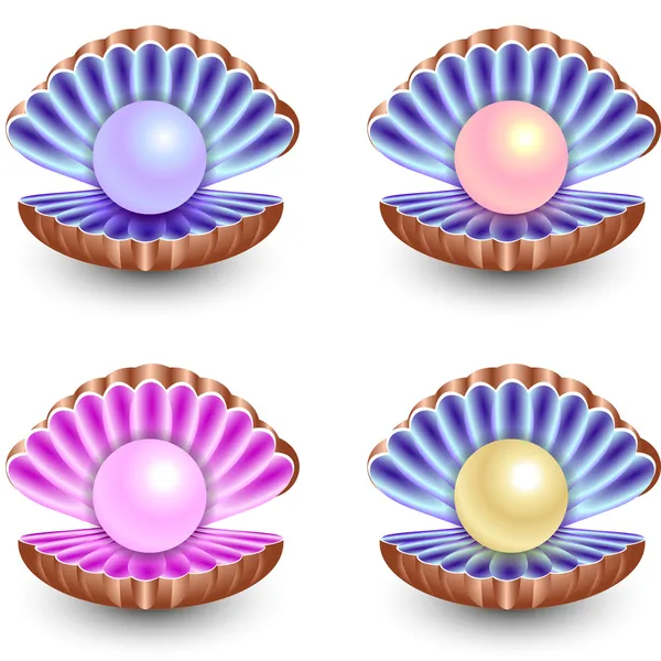 Set of pearls — Stock Vector