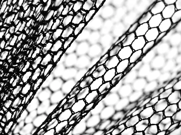 Schwarzes Netz auf weißem Grund — Stockfoto