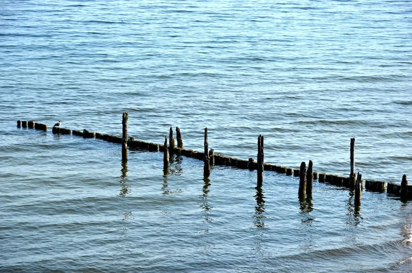 Quebra-mar de madeira — Fotografia de Stock