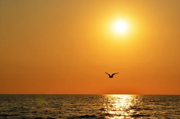 gökyüzü günbatımı