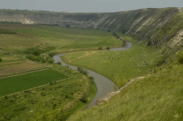 stock image Old Orhei