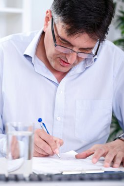 üst düzey iş adamı yazma