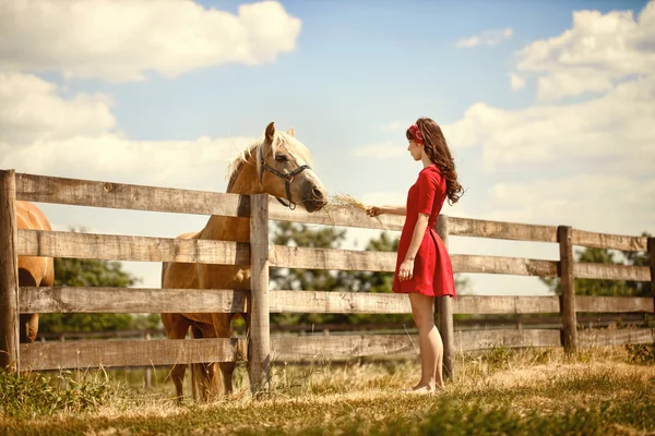 Γυναίκα στο αγρόκτημα με το άλογό της — Φωτογραφία Αρχείου