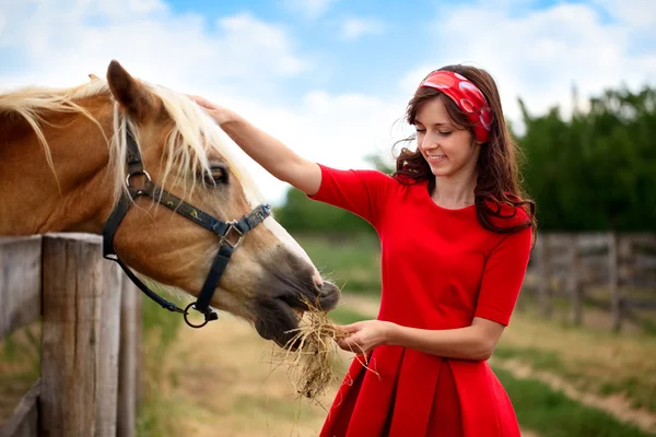 Menina acariciou seu cavalo — Fotografia de Stock