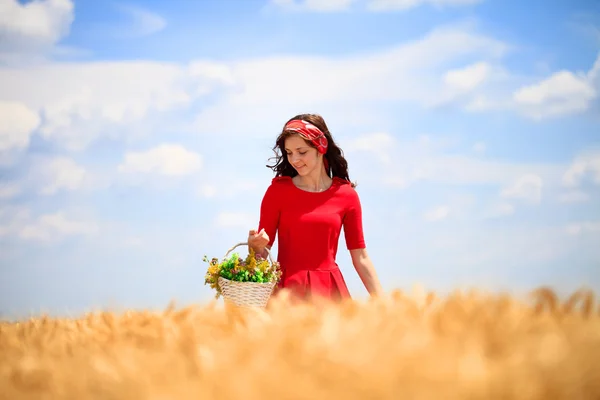 Flicka med korg i vete fält — Stockfoto