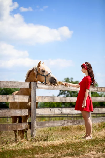 Linda chica con caballo — Foto de Stock