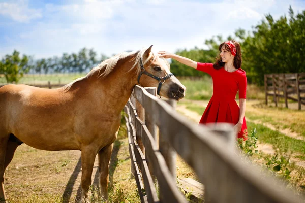 Женщина счастья гладила лошадь — стоковое фото